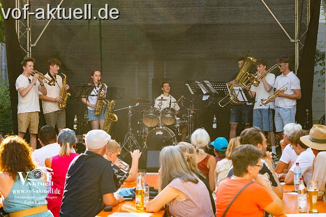 Foto Laudi Donaugassenfest-17.jpg